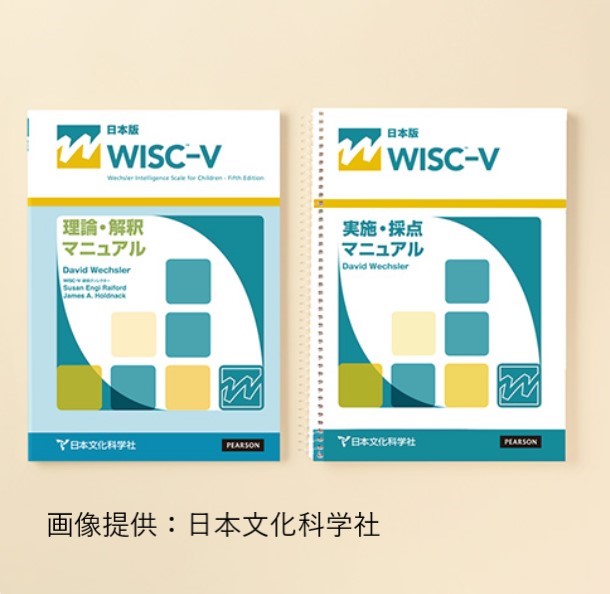関口心理テストセンター / WISC-V知能検査
