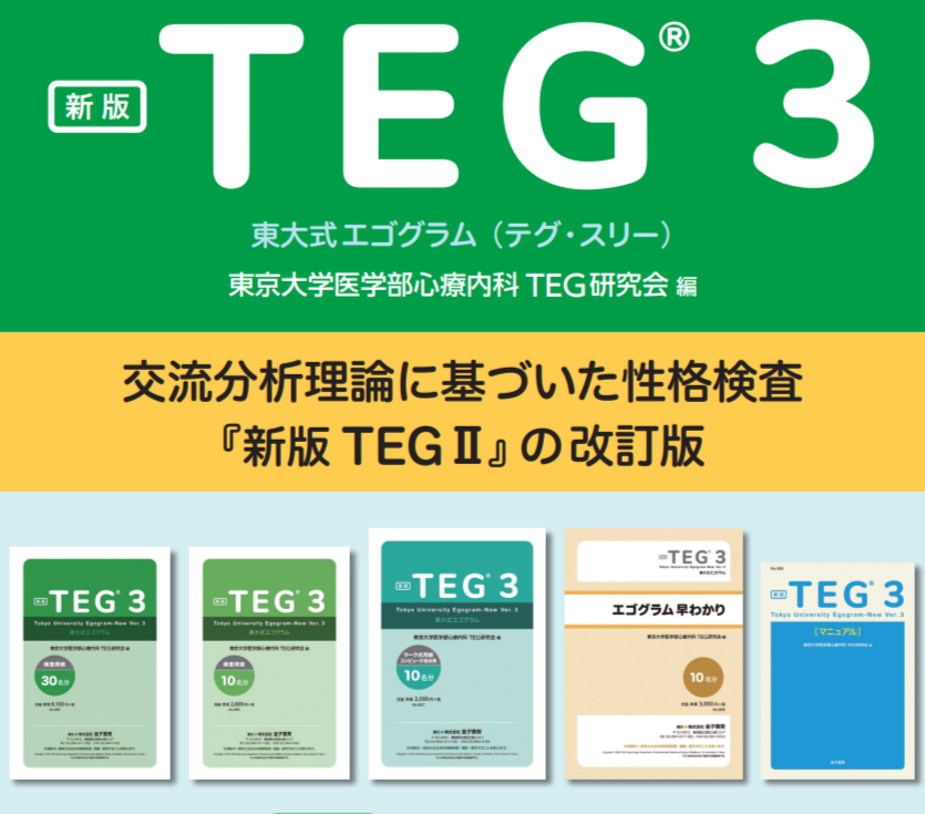 新版TEG３（テグ・スリー） 東大式エゴグラム